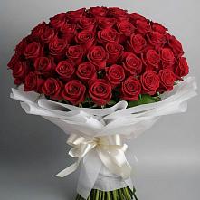 Букет 101 Красная роза Блэк Мэджик в Мокшане