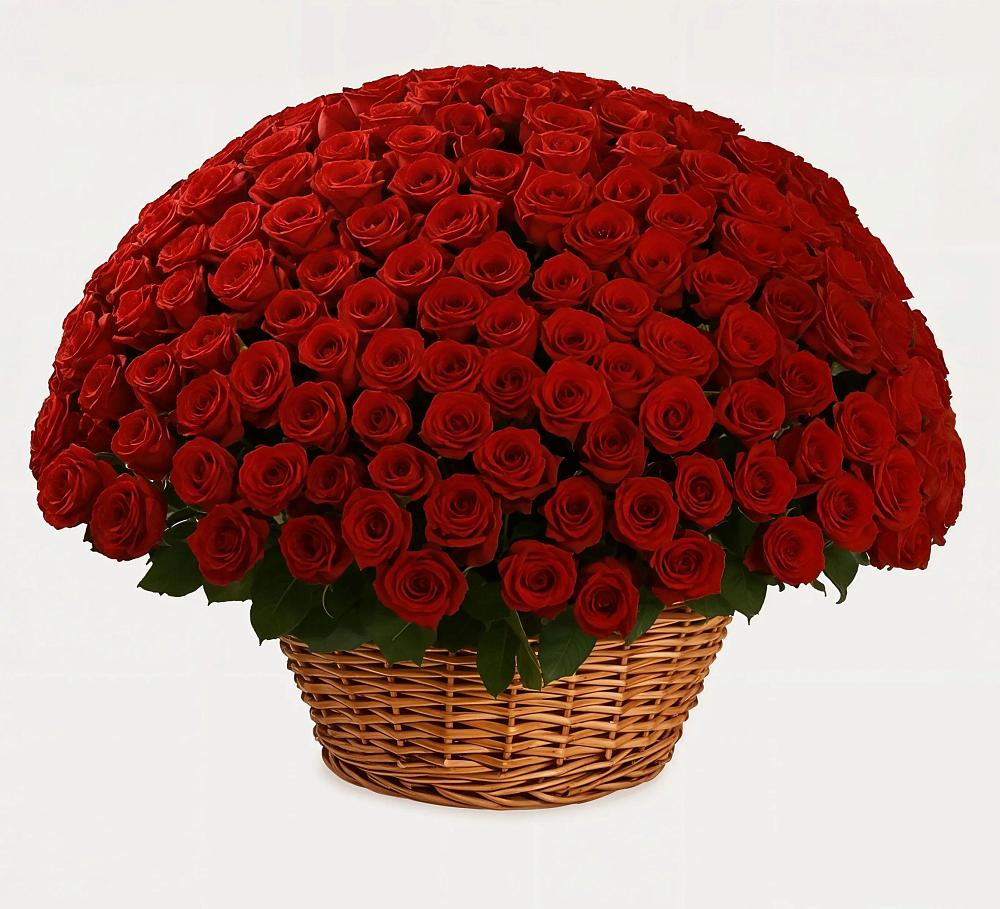 Премиум букет из: Розы в Мокшане