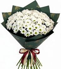 Букет цветов из:  Хризантемы в Мокшане