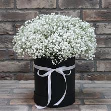 Цветочная композиция из Гипсофила в шляпной коробке в Мокшане