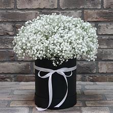 Цветочная композиция из Гипсофила в шляпной коробке в Мокшане