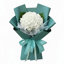 Букет цветов из:  Гортензия в Мокшане